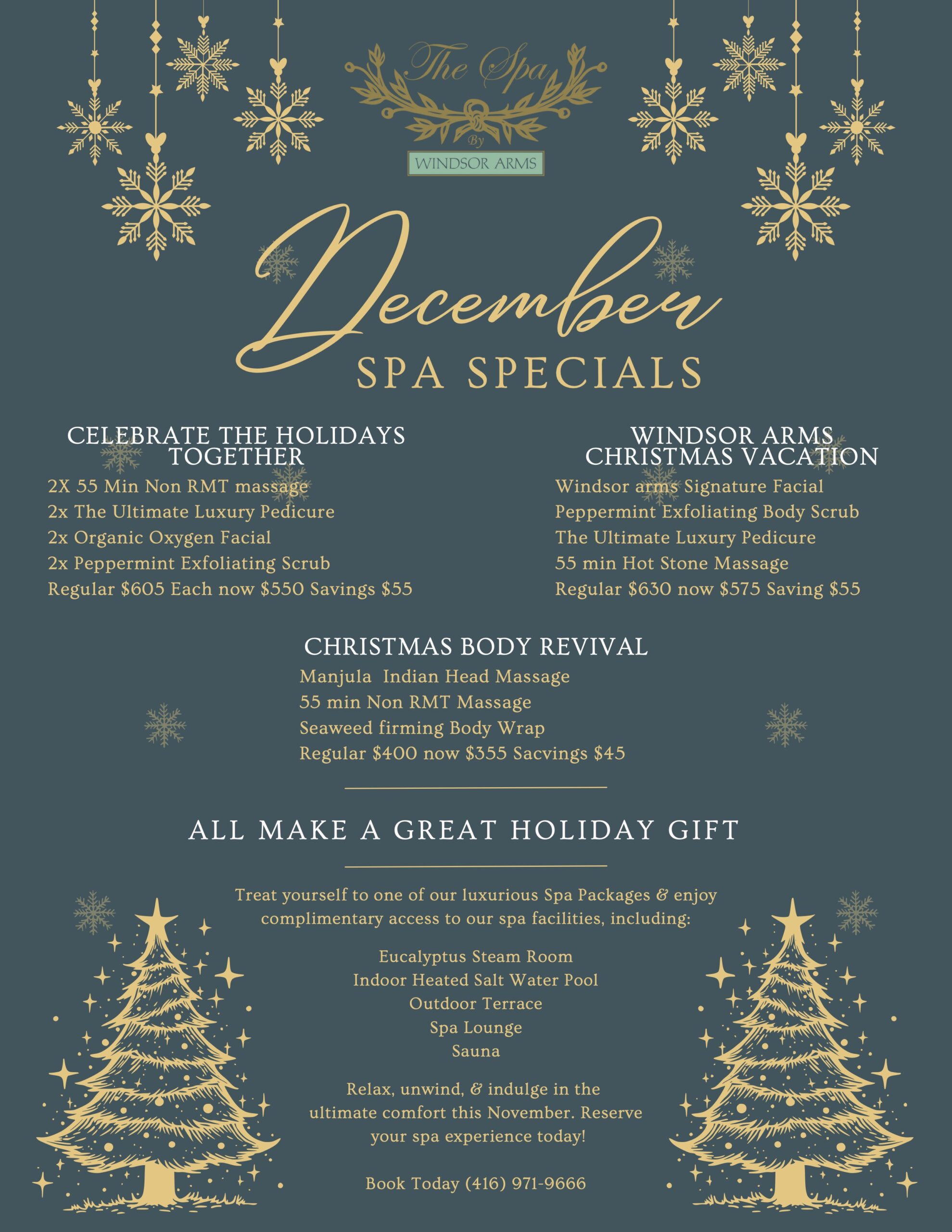 December spa specials poster